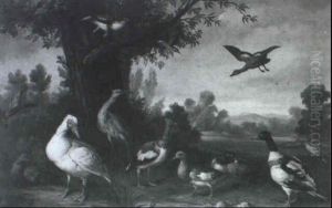 Aves En La Orilla Del Rio by Jose Martorell