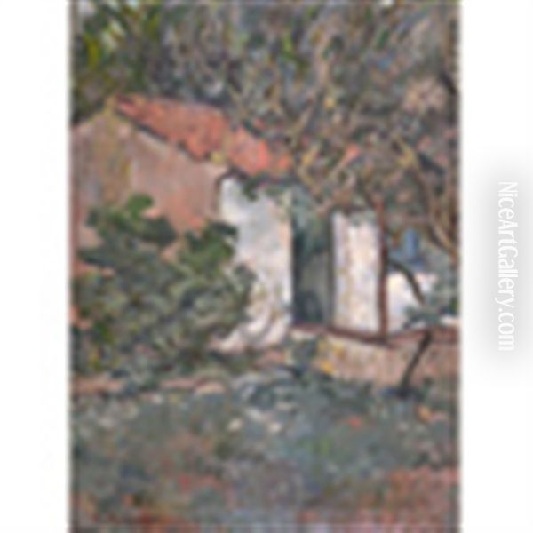 Case Tra Gli Alberi - view 1