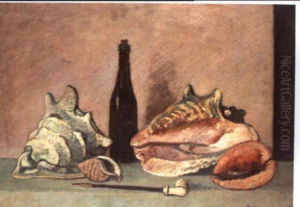 Natura Morta Con Conchiglie - view 1