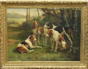 Chiens De Meute A L'arret Chiens De Meute A L'arret