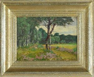 Waldlichtung Mit Birken Am Wegrand