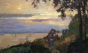 Blick Auf Die Elbe Von Teufelsbruck