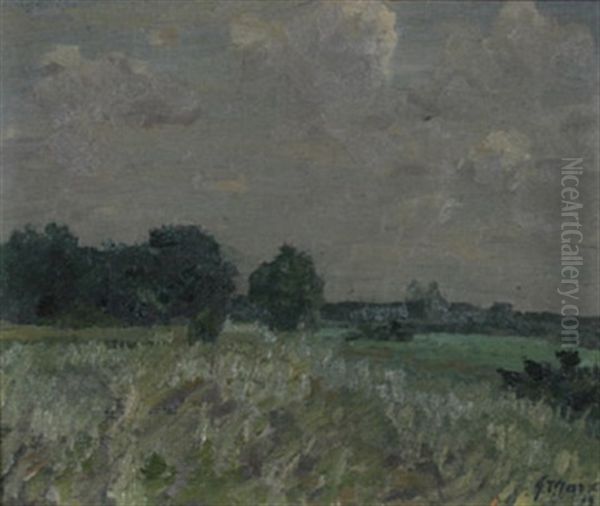Wiesenlandschaft Am Waldrand - view 1