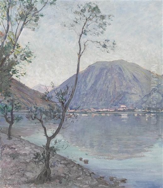 Tessiner Seelandschaft - view 1