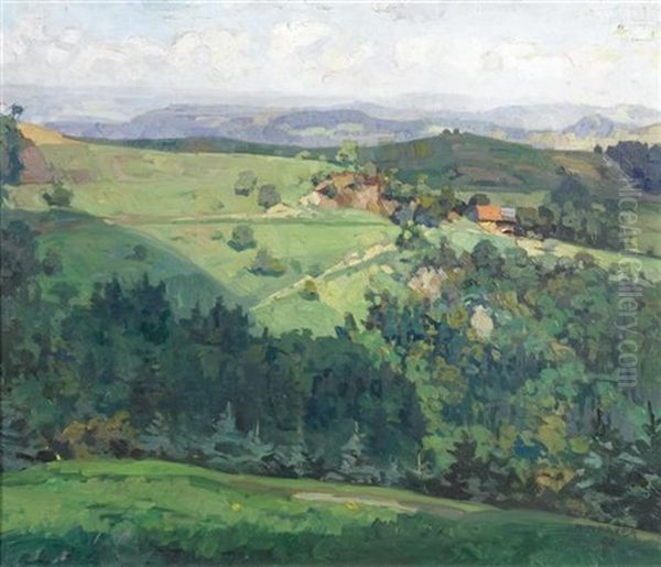 Hugellandschaft - view 1