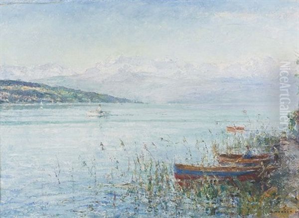 Sommerliche Partie Am Zurichsee - view 1