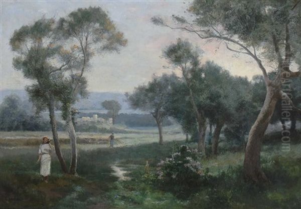 Nordafrikanischer Olivenhain In Der Dammerung - view 1