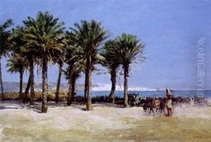 Vue D'alger