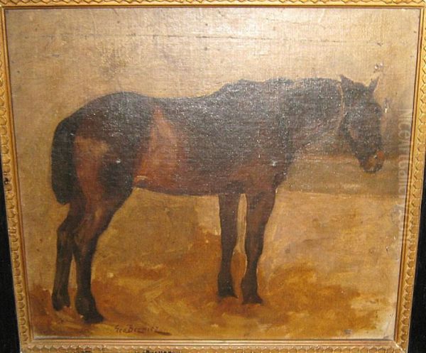 Paard - view 1