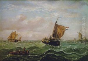 Costa De Holanda