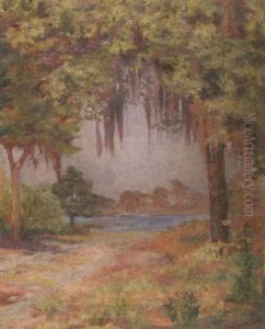 Trees With Spanish Moss Trees With Spanish Moss