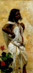 Noia Nord-africana Noia Nord-africana