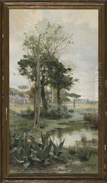 Paisaje - view 1