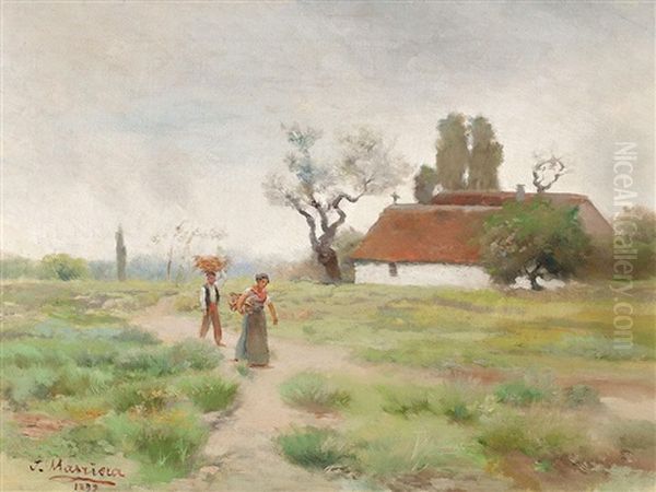 Paisaje - view 1