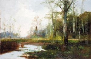 Paisaje Lacustre