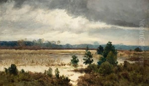 Paisaje Con Laguna - view 1