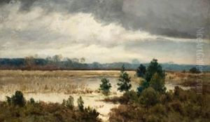 Paisaje Con Laguna
