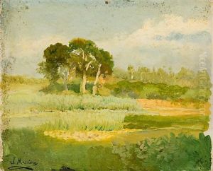 Paisaje Paisaje