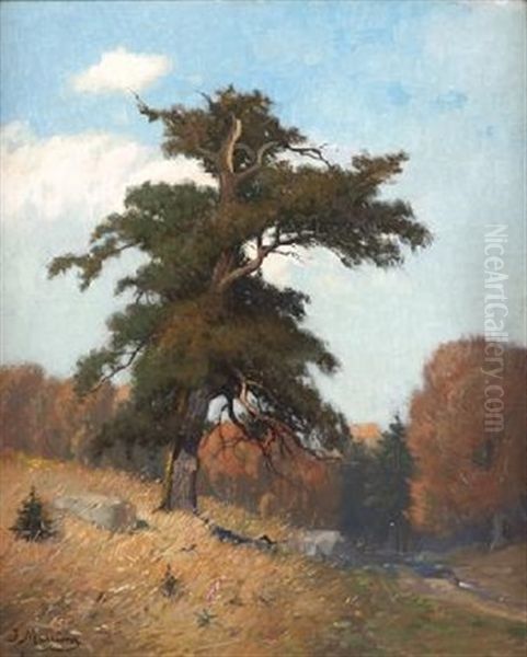 Paisaje Con Arbol - view 1