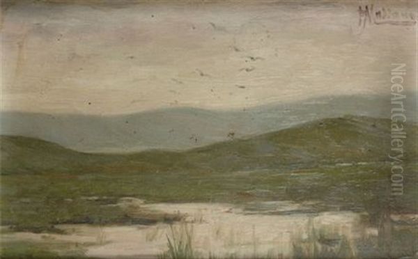 Palude - view 1