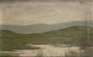 Palude by Pompeo Massani