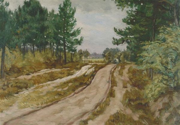 Hohlweg Im Wald - view 1