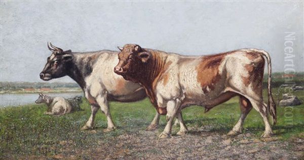 Vaches Au Pre Pres De L'eau - view 1