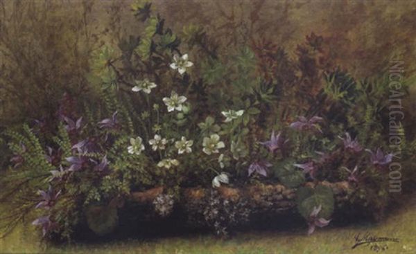 Waldblumen - view 1