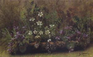 Waldblumen Waldblumen