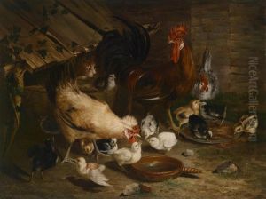 Chickens In Acoop Being Watched By A Cat by Anton Bernreiter