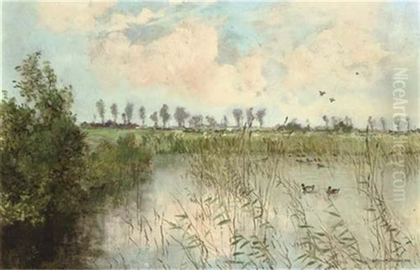 Een Idyllisch Plekje: Ducks On A Lake - view 1