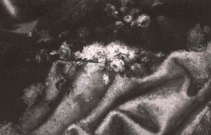 Jete De Fleurs Sur Un Tapis Jete De Fleurs Sur Un Tapis
