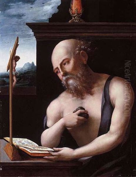 The Penitent Saint Jerome - view 1