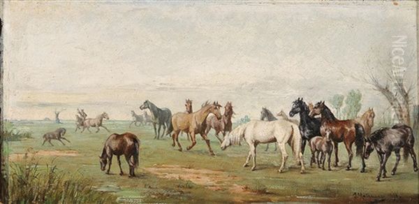 Herd Of Horses With Herdsman - view 1