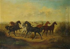 Pferdeherde by Josef Mathauser