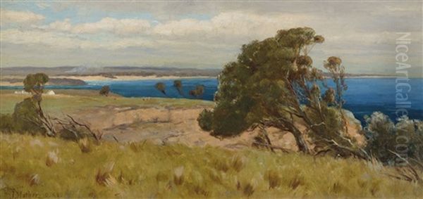 Blue Bay, Kilcunda - view 1