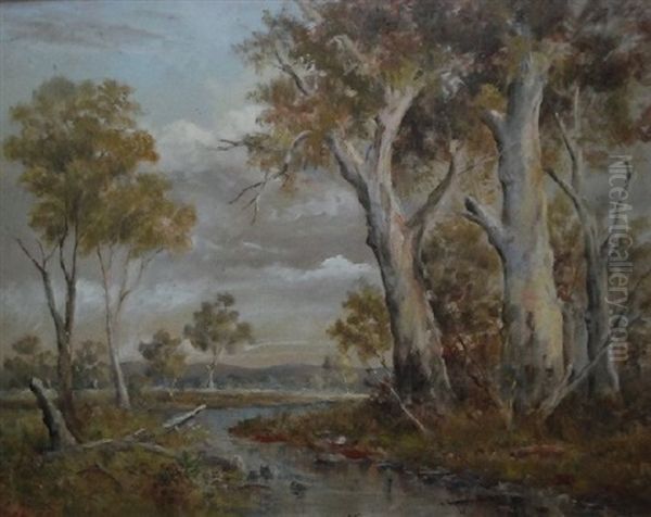 Australian Landscape With Creek - view 1