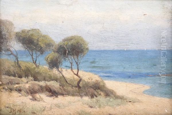 Coastal Scene - view 1