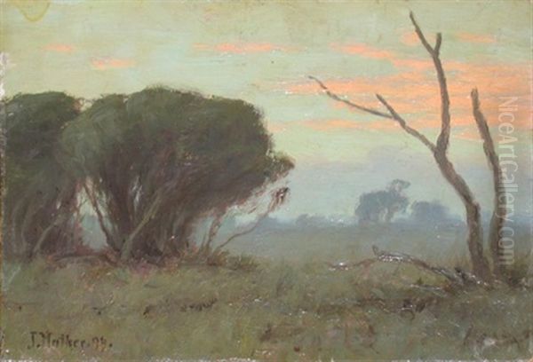 Dawn - view 1