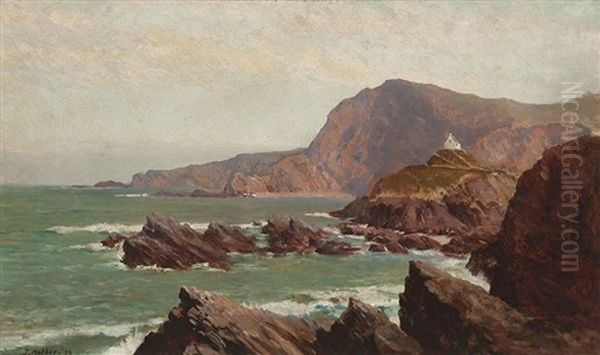 Coastal Scene - view 1