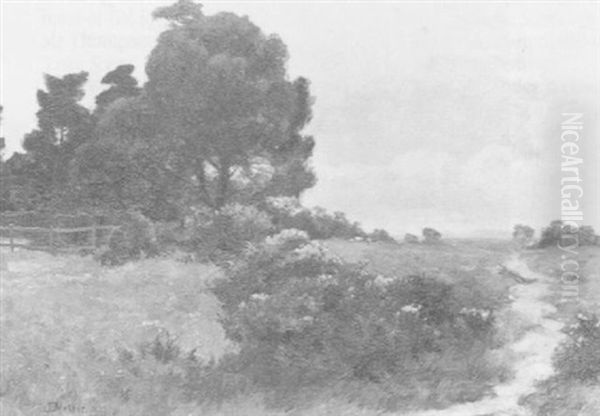 Path Through The Broome - view 1