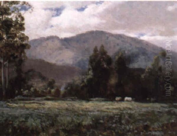 Mt. Manda, Healesville, Victoria - view 1