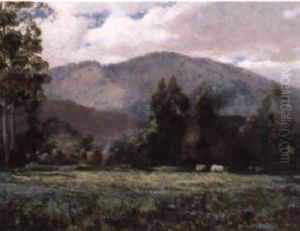Mt. Manda, Healesville, Victoria by John Mather