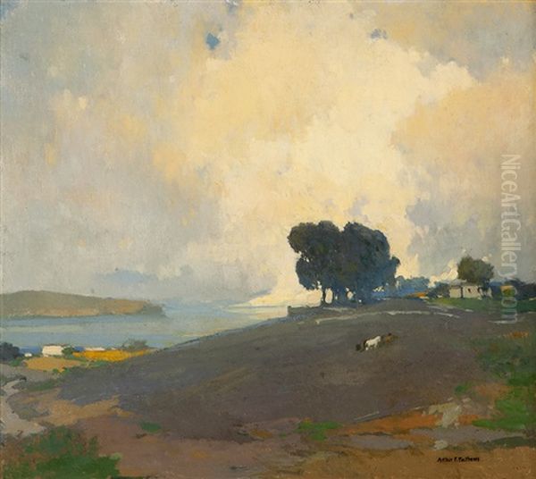 Summertime - view 1