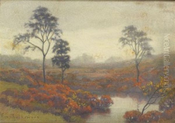 October Haze - view 1