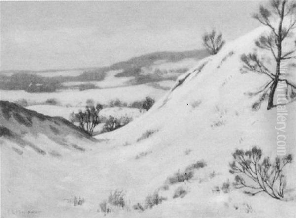 Snow Scene - view 1