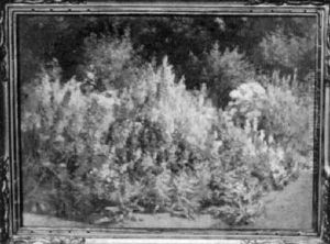 Garden In Violet And Rose