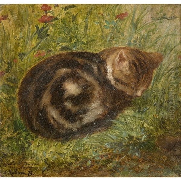 Chat Couche Dans Un Pre - view 1