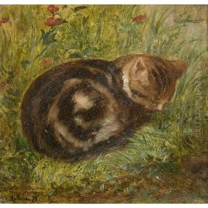 Chat Couche Dans Un Pre by Oscar-Pierre Mathieu