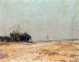 Paysage Campinois Paysage Campinois